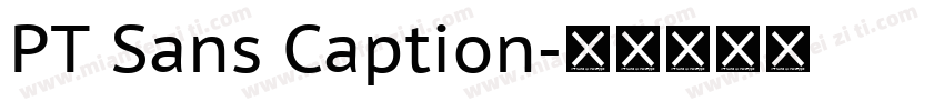 PT Sans Caption字体转换